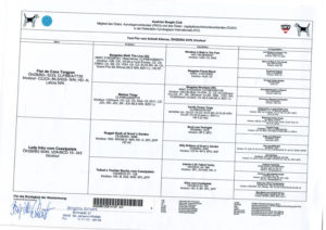 Beagle Zucht Brigitta Erhart Deckrüde Toni Flor Ahnentafel