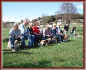 Beagle-Zucht-Brigitta-Erhart-Treffen-Landesgruppe-Mitte