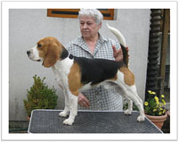 sammy_0007_fr